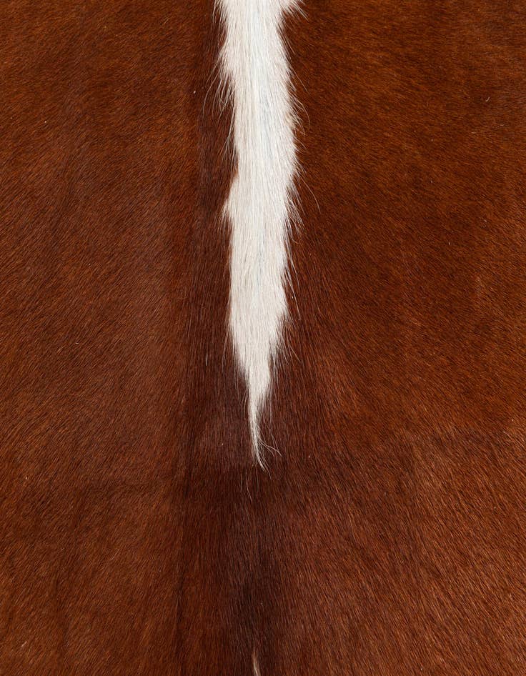 Detail image of  5' 1 x 5' 8 Cowhide Leather Rug