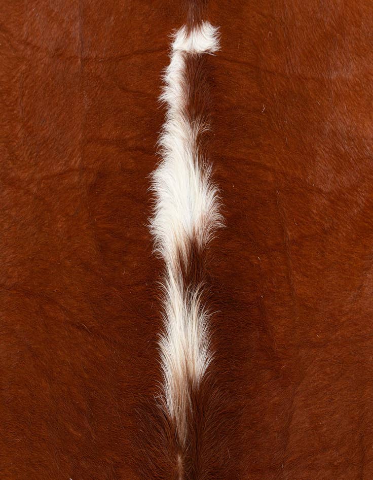 Detail image of  4' 4 x 4' 6 Cowhide Leather Rug