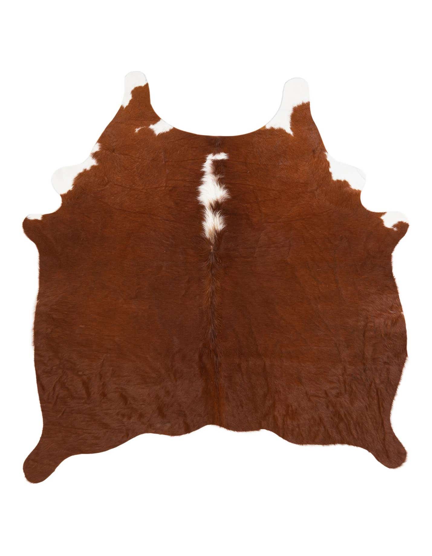 A 4x6 brown and white cowhide rug with an irregular shape, featuring rich brown fur with white patches along the edges and a central white stripe.