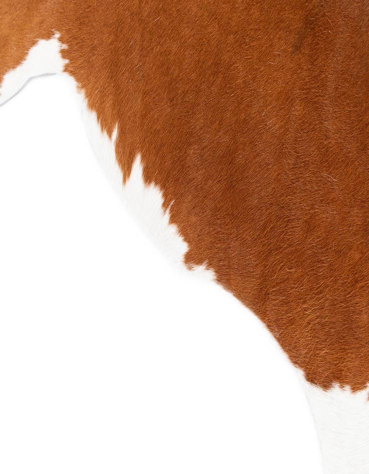 Detail image of  5' 1 x 6' 2 Cowhide Leather Rug