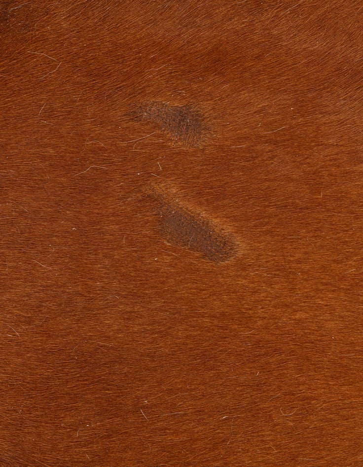 Detail image of  5' 1 x 6' 2 Cowhide Leather Rug