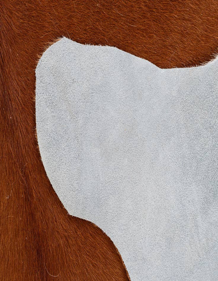 Detail image of  5' 1 x 6' 2 Cowhide Leather Rug