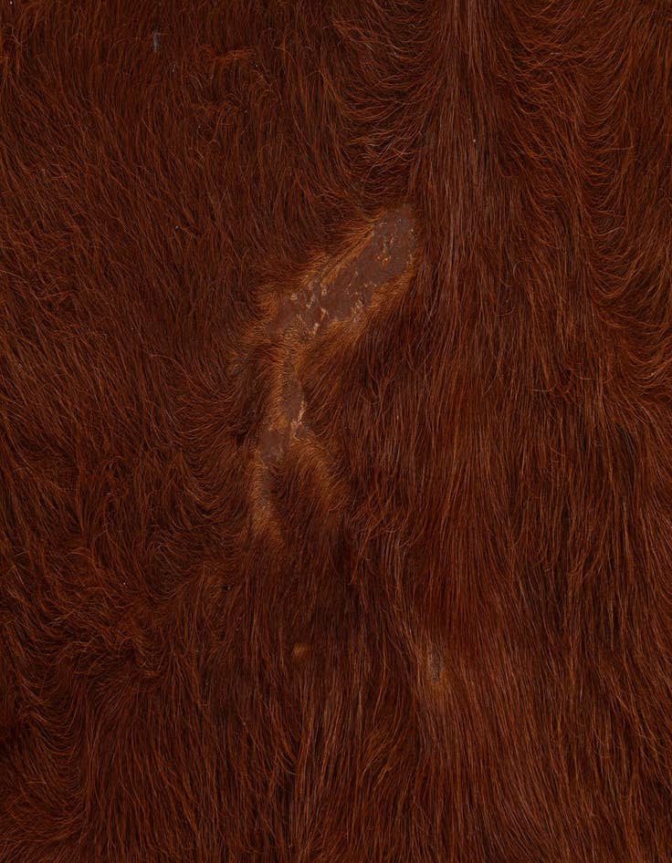 Detail image of  4' 11 x 5' 7 Cowhide Leather Rug