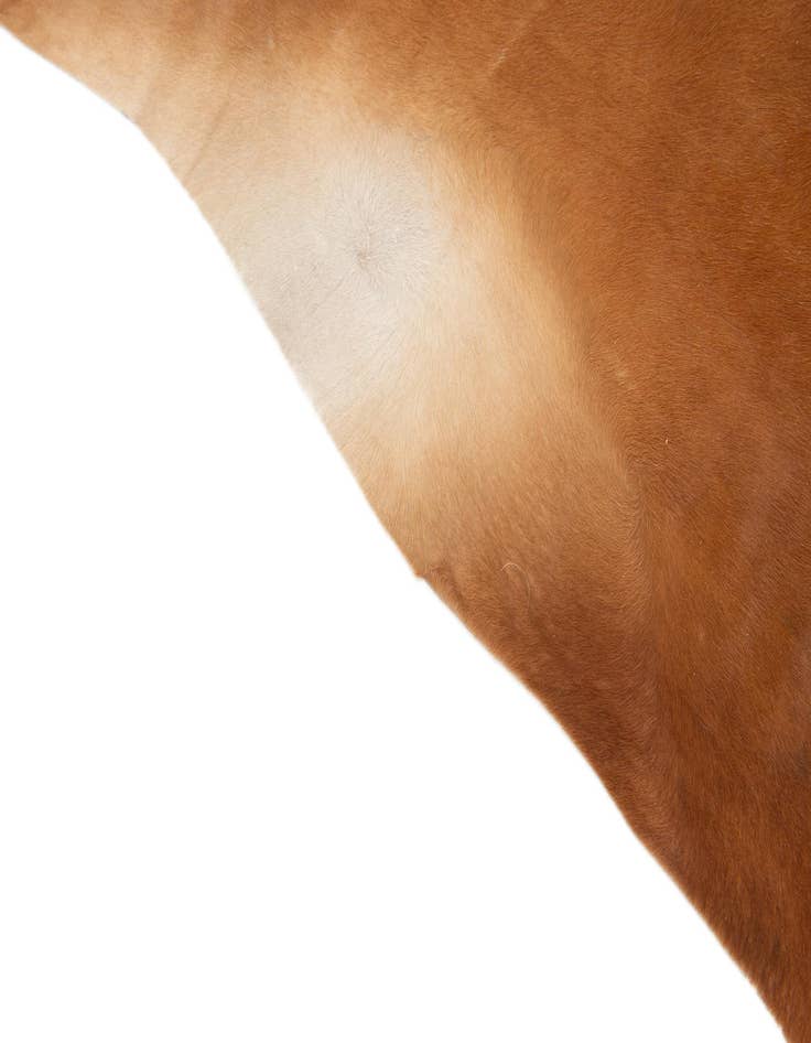 Detail image of  6' 1 x 6' 9 Cowhide Leather Rug