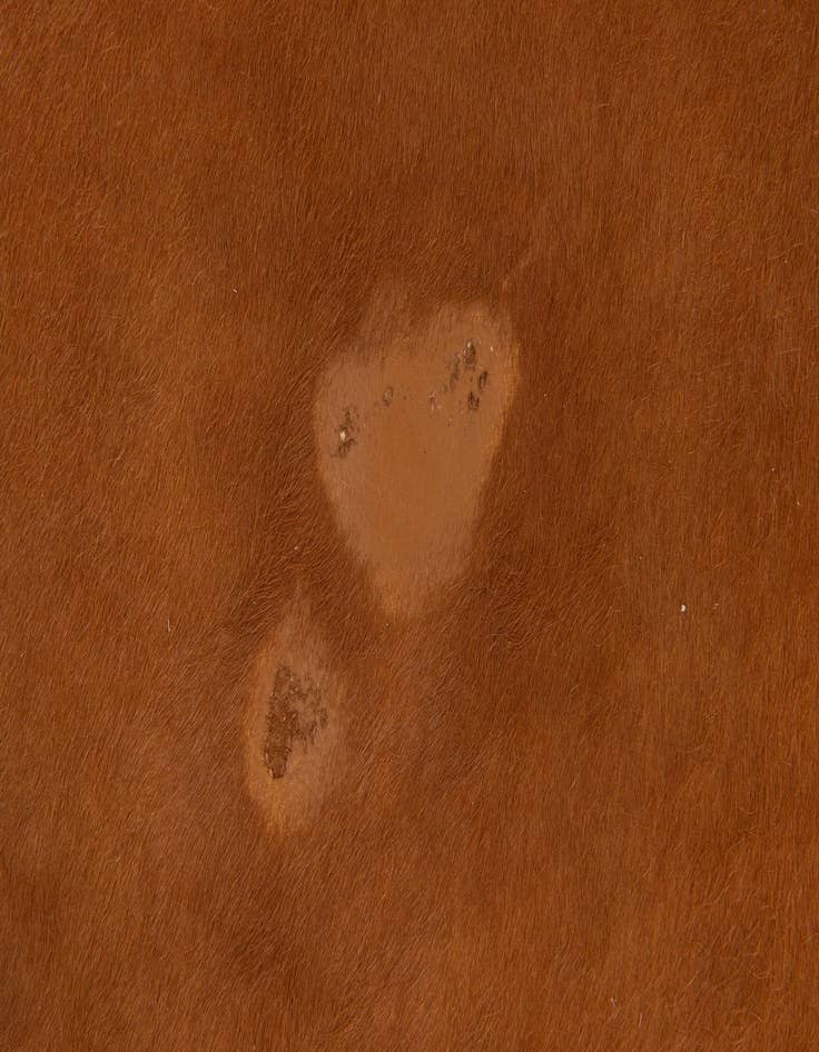 Detail image of  6' 1 x 6' 9 Cowhide Leather Rug