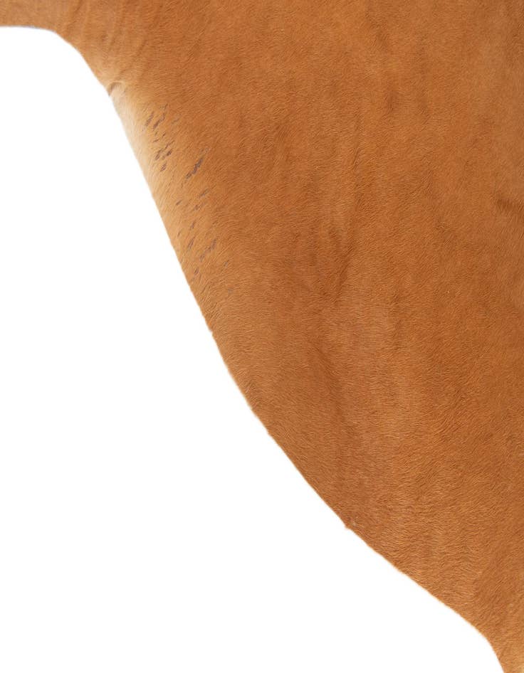 Detail image of  5' 5 x 6' 5 Cowhide Leather Rug