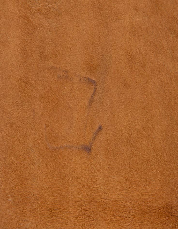 Detail image of  5' 5 x 6' 5 Cowhide Leather Rug