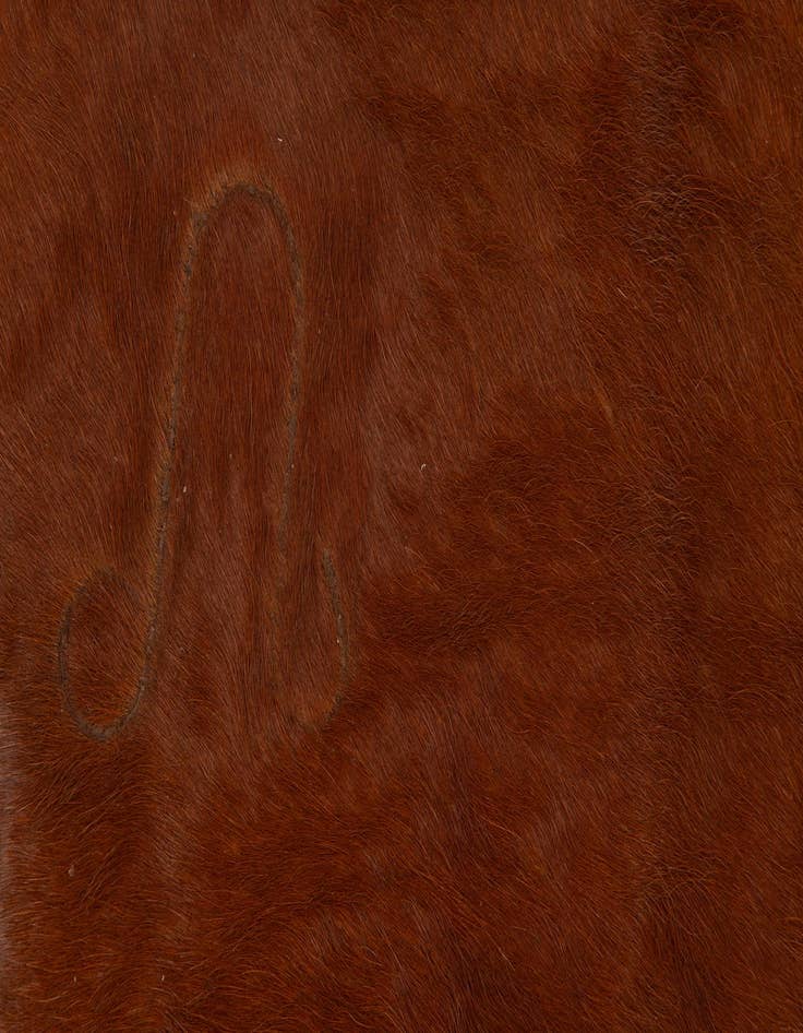 Detail image of  5' 6 x 6' 11 Cowhide Leather Rug