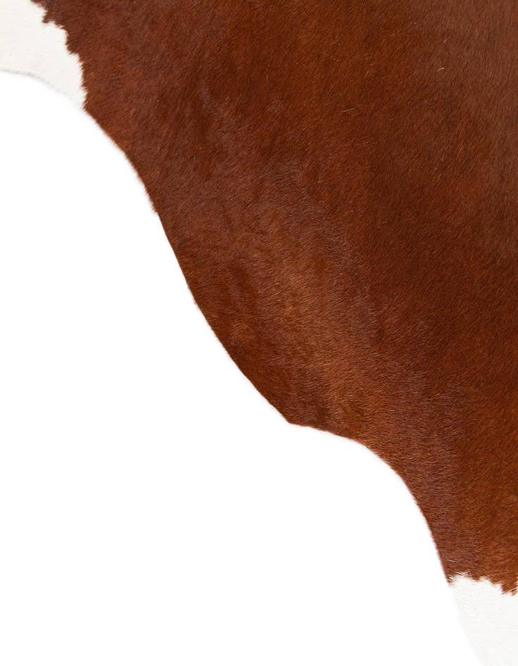 Detail image of  4' 10 x 6' 2 Cowhide Leather Rug