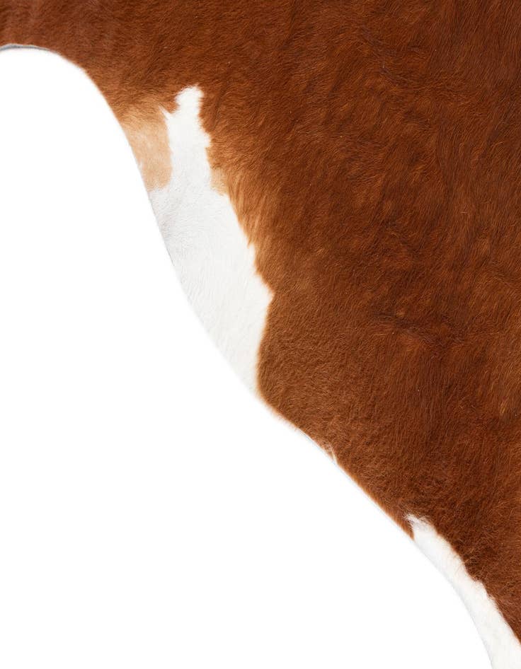 Detail image of  6' 1 x 7' Cowhide Leather Rug