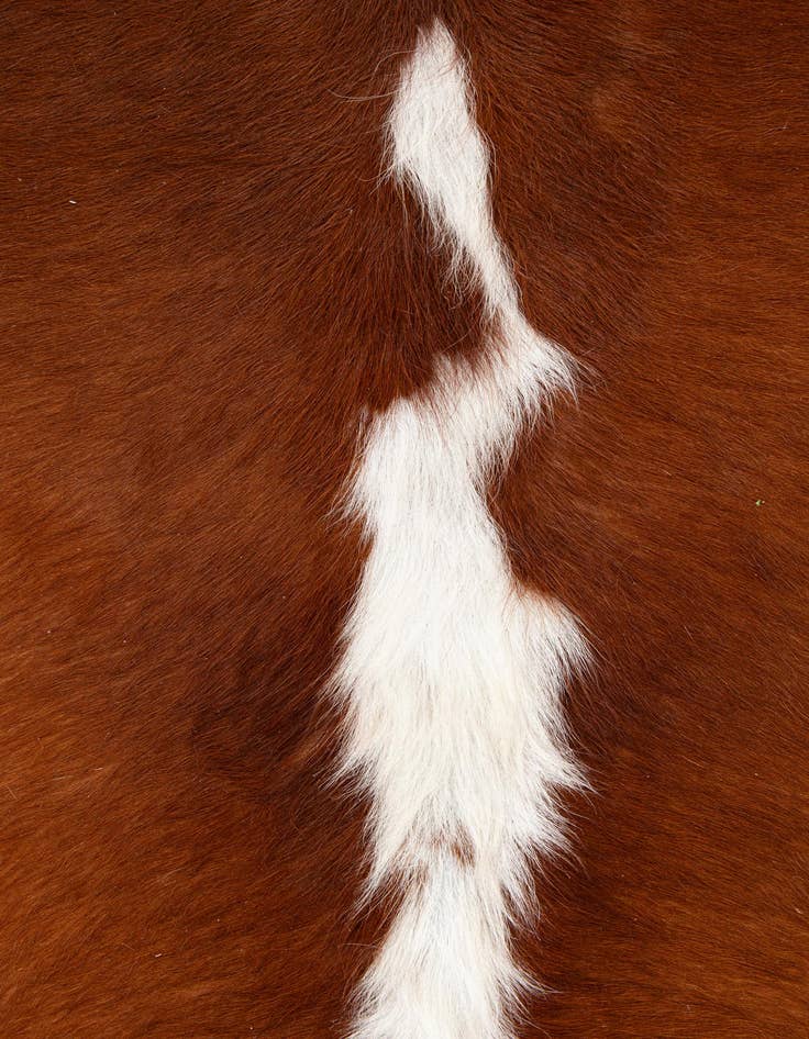 Detail image of  6' 1 x 7' Cowhide Leather Rug