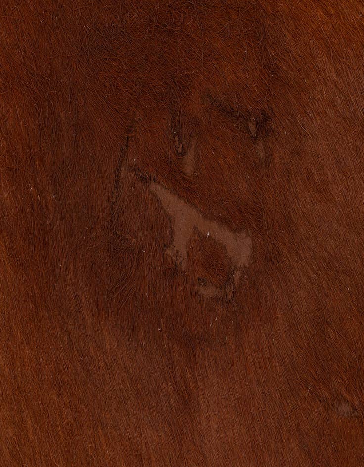 Detail image of  5' 7 x 6' 5 Cowhide Leather Rug
