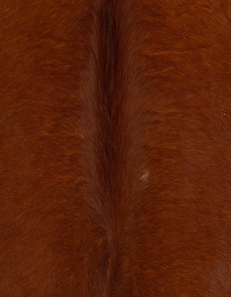 Detail image of  5' 1 x 5' 10 Cowhide Leather Rug