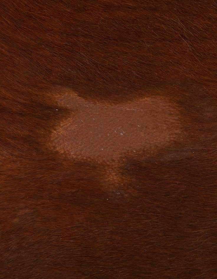 Detail image of  5' 3 x 5' 7 Cowhide Leather Rug