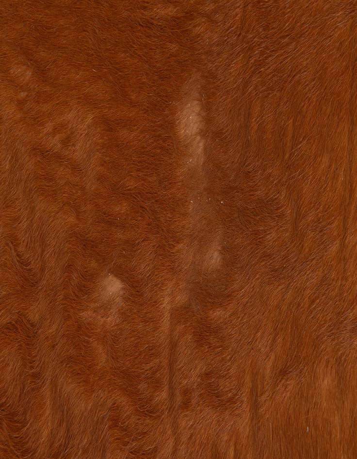 Detail image of  4' 8 x 6' 1 Cowhide Leather Rug