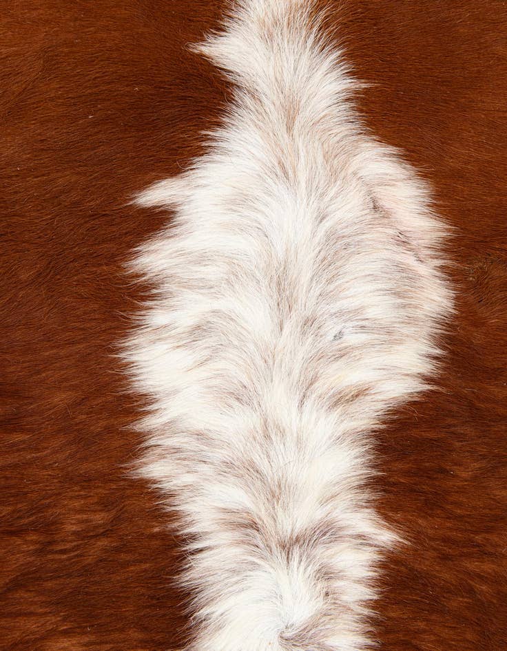 Detail image of  5' 4 x 6' 1 Cowhide Leather Rug