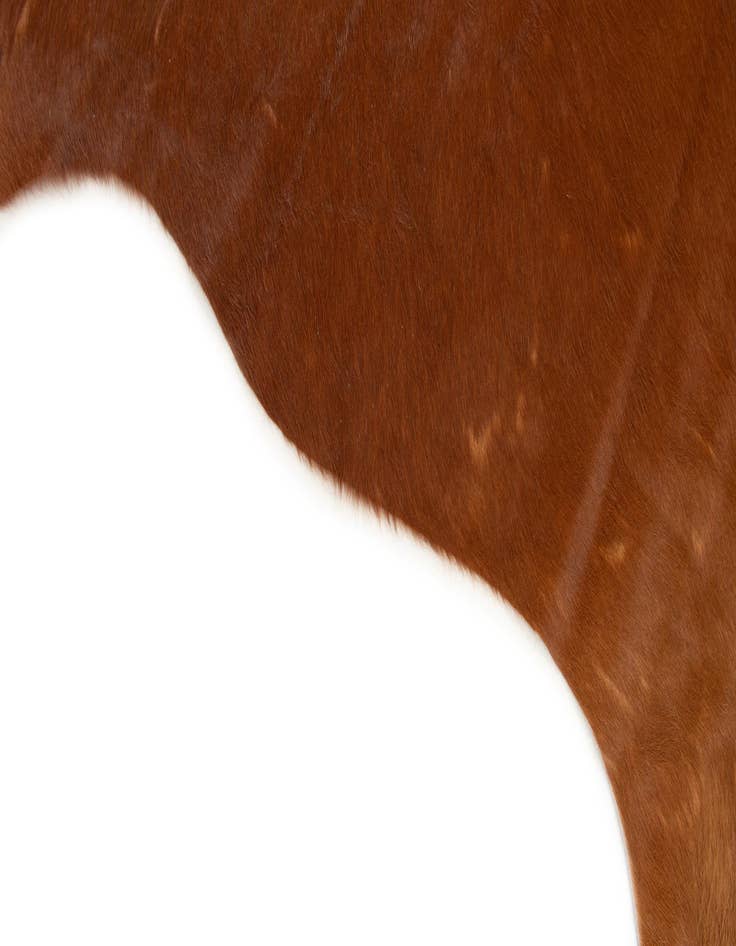 Detail image of  5' x 6' Cowhide Leather Rug