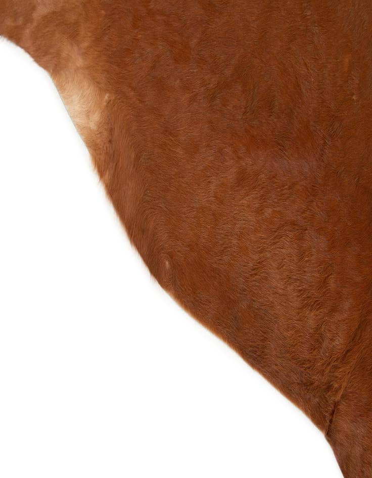 Detail image of  5' 8 x 7' 1 Cowhide Leather Rug