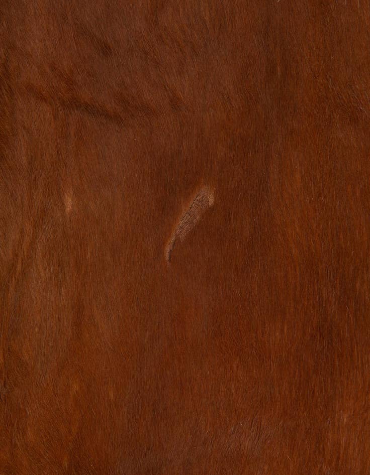 Detail image of  5' 8 x 7' 1 Cowhide Leather Rug