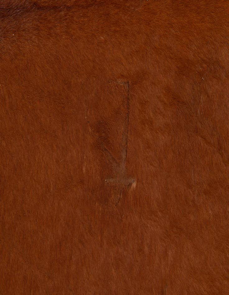 Detail image of  5' 8 x 6' 5 Cowhide Leather Rug