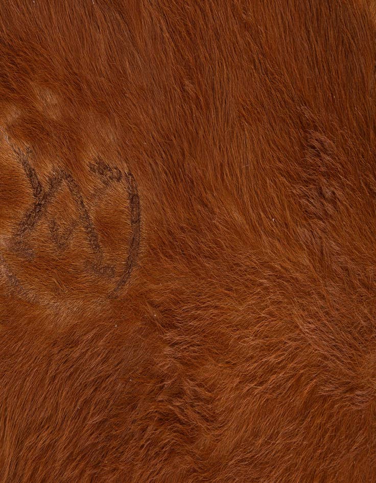 Detail image of  5' x 5' 7 Cowhide Leather Rug