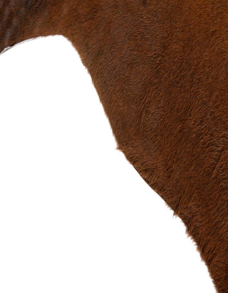 Detail image of  5' 11 x 6' 9 Cowhide Leather Rug