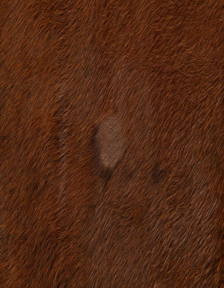 Detail image of  5' 11 x 6' 9 Cowhide Leather Rug