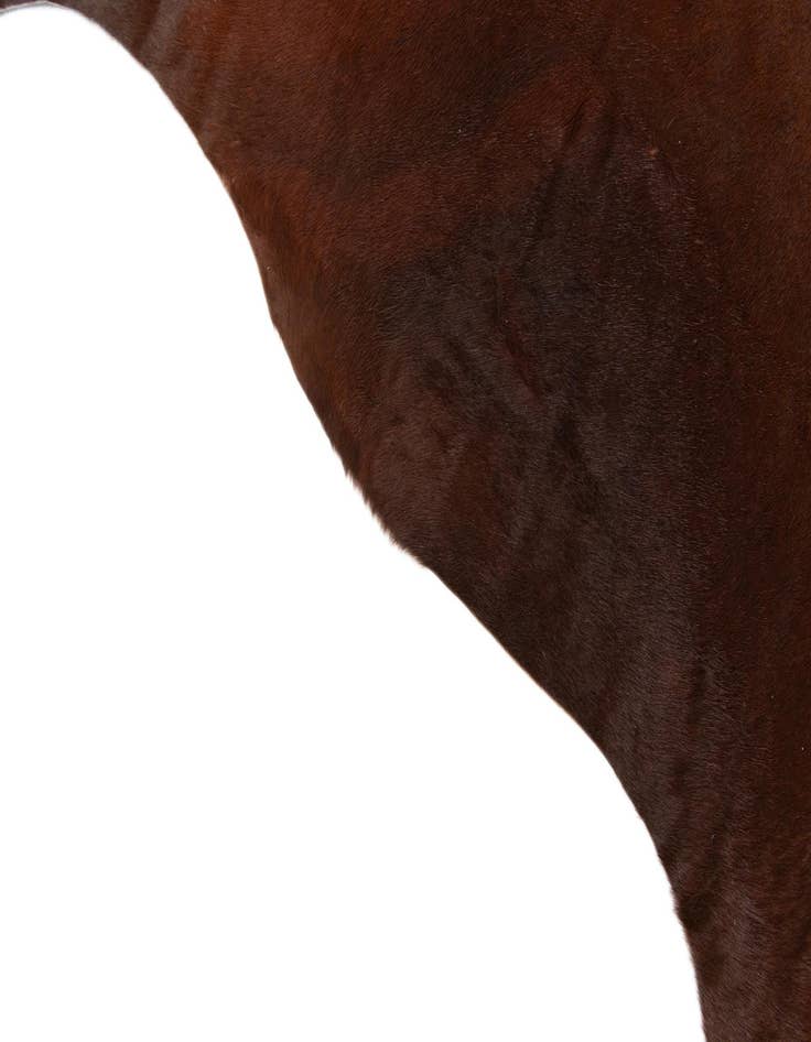 Detail image of  5' 9 x 7' Cowhide Leather Rug