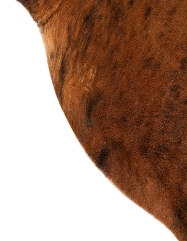 Detail image of  5' 11 x 7' 1 Cowhide Leather Rug