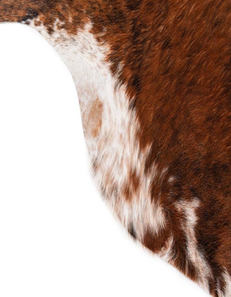 Detail image of  6' 2 x 7' Cowhide Leather Rug