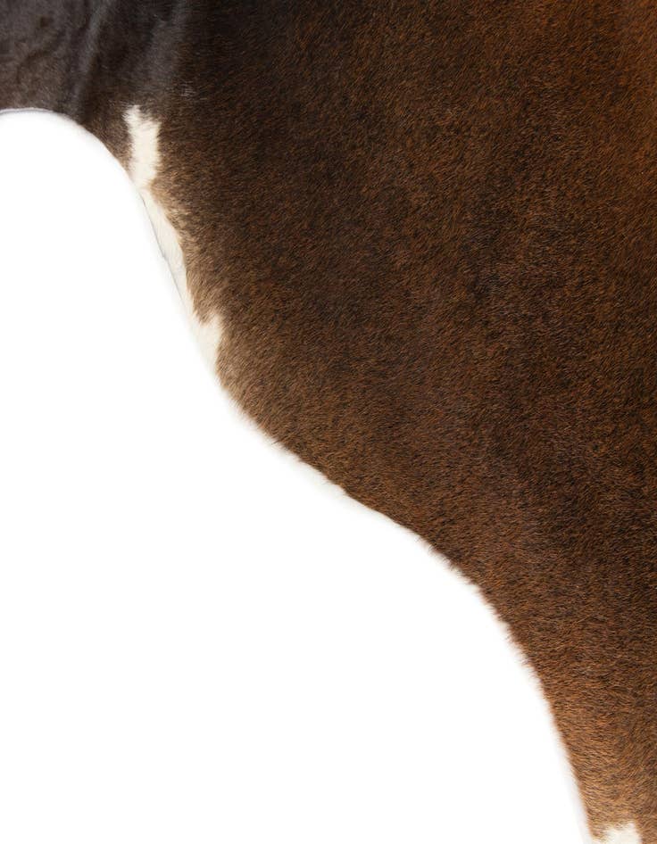 Detail image of  5' 9 x 6' 6 Cowhide Leather Rug