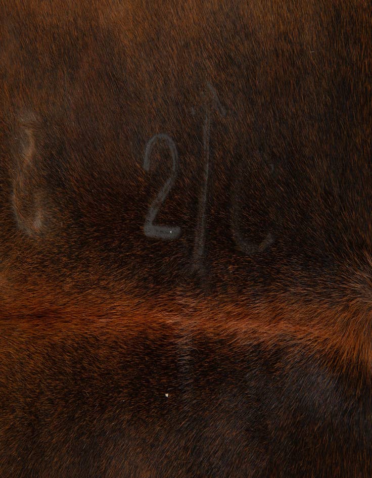 Detail image of  5' 9 x 6' 6 Cowhide Leather Rug