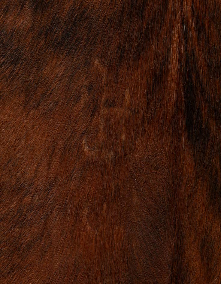 Detail image of  5' 1 x 5' 11 Cowhide Leather Rug