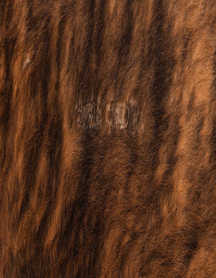 Detail image of  5' 3 x 6' 2 Cowhide Leather Rug