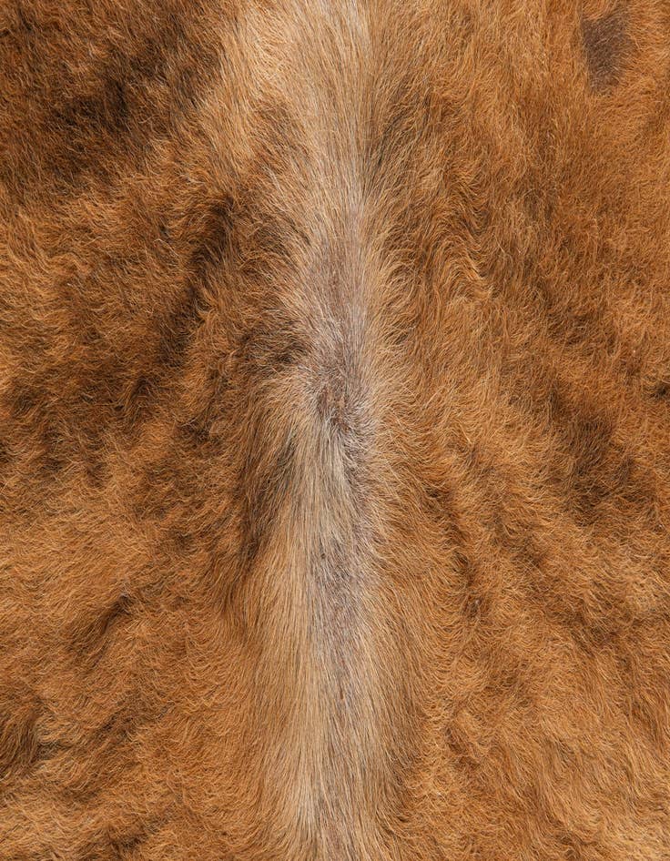 Detail image of  4' 8 x 5' 4 Cowhide Leather Rug