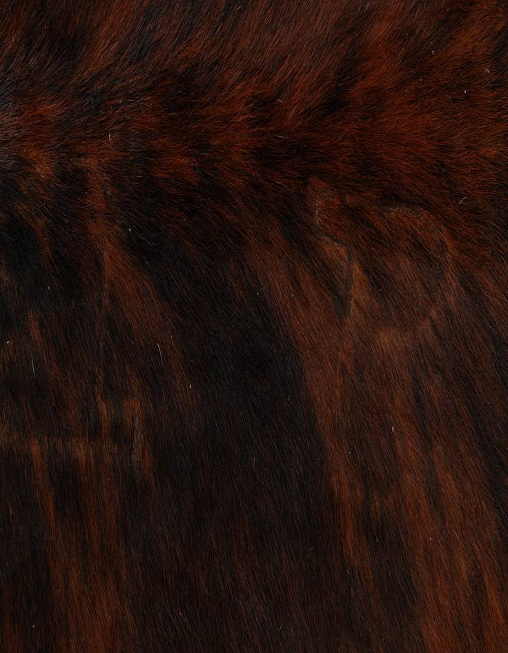 Detail image of  4' 9 x 5' 2 Cowhide Leather Rug