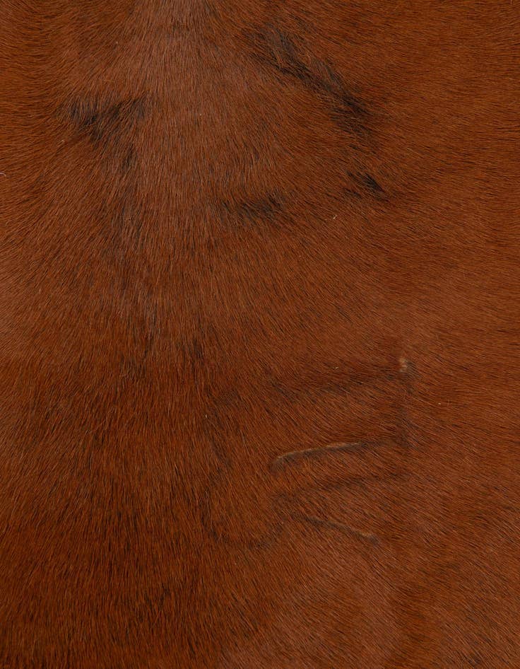 Detail image of  4' 4 x 5' 1 Cowhide Leather Rug