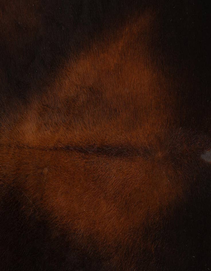 Detail image of  6' 6 x 7' 4 Cowhide Leather Rug