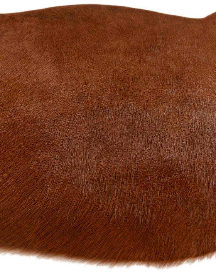 Detail image of  2' 2 x 2' 11 Cowhide Leather Rug