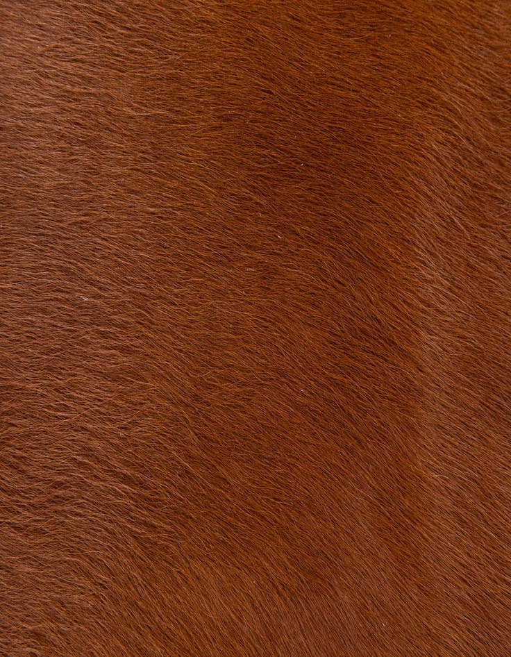 Detail image of  2' 2 x 2' 11 Cowhide Leather Rug