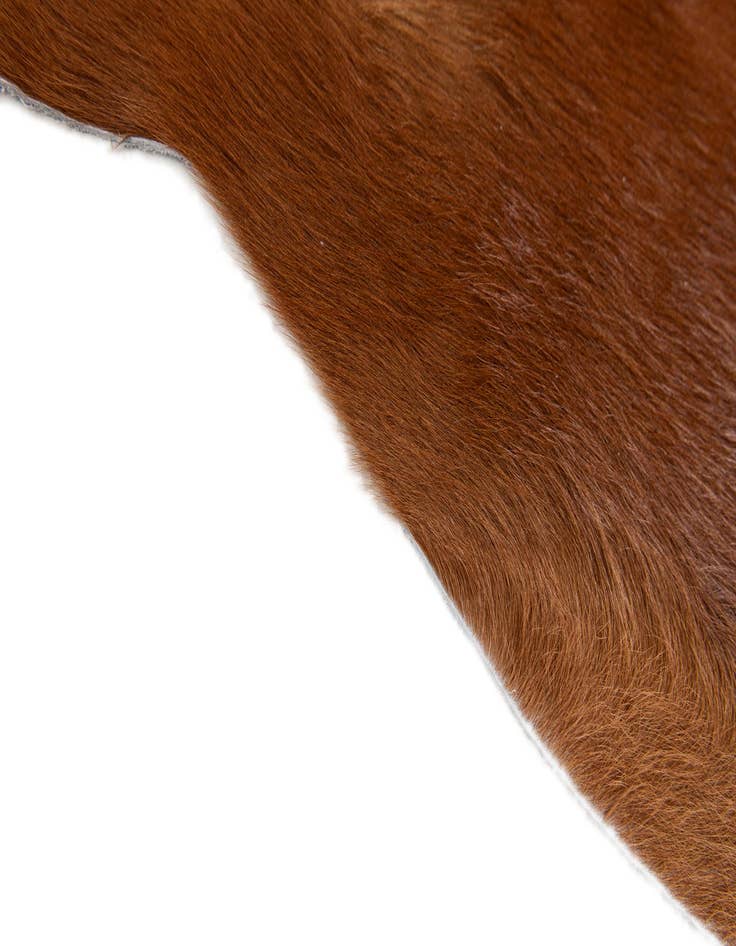 Detail image of  2' 2 x 2' 11 Cowhide Leather Rug