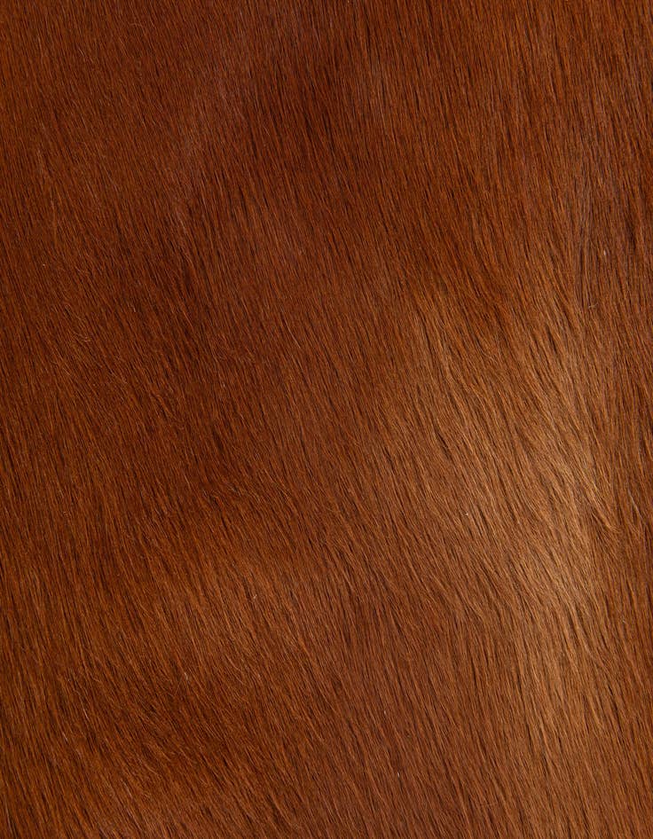 Detail image of  2' 2 x 2' 11 Cowhide Leather Rug