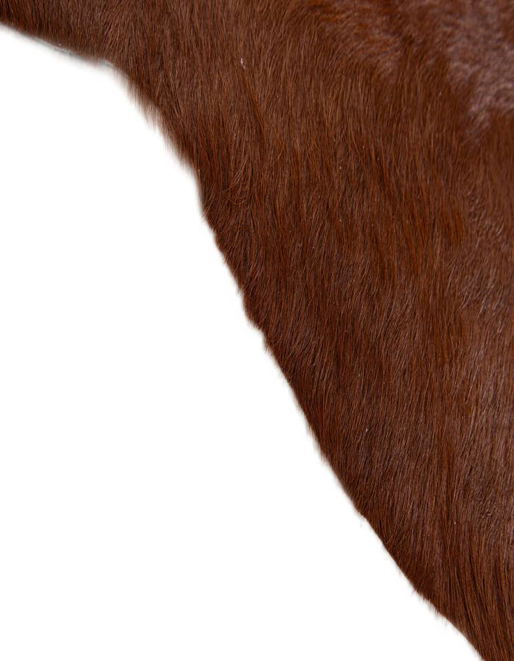 Detail image of  2' 2 x 2' 11 Cowhide Leather Rug