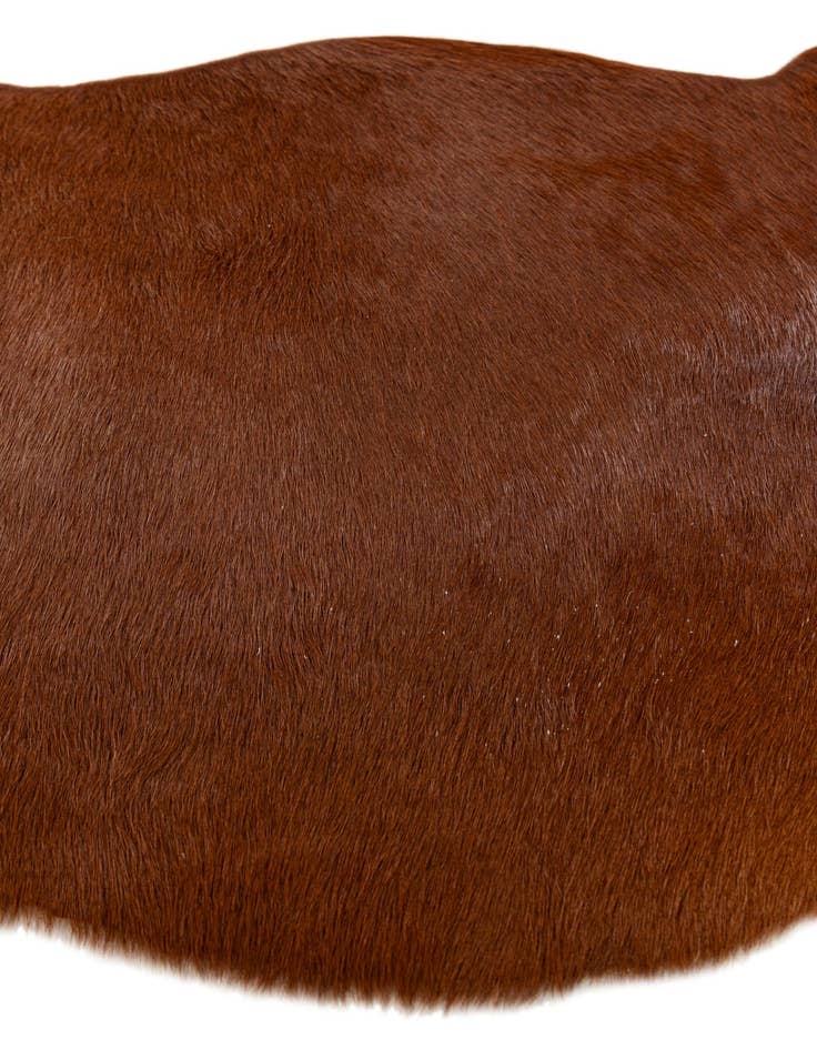 Detail image of  2' 2 x 2' 11 Cowhide Leather Rug