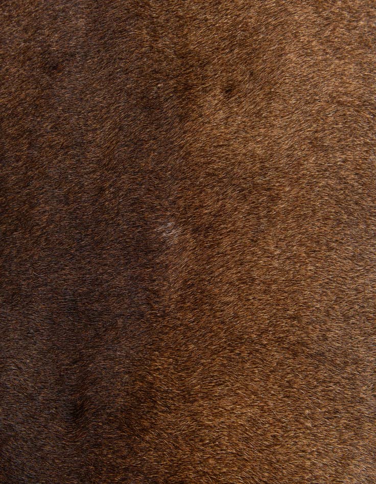 Detail image of  2' 2 x 2' 11 Cowhide Leather Rug