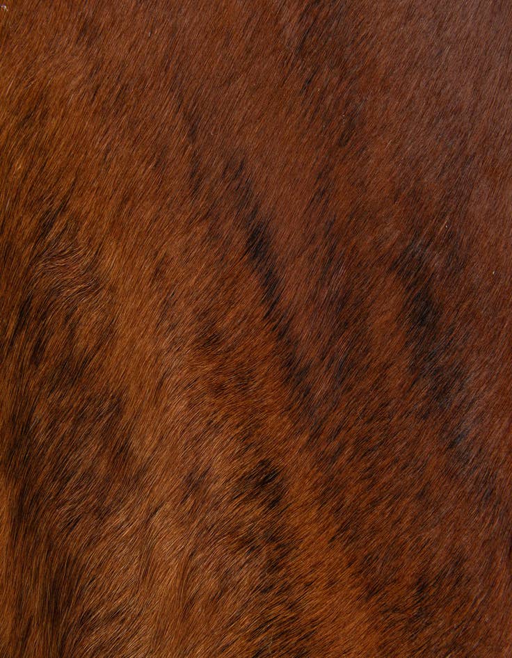 Detail image of  1' 8 x 2' 6 Cowhide Leather Rug