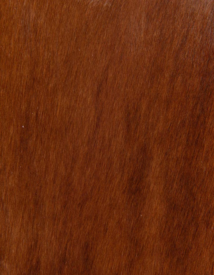 Detail image of  1' 8 x 2' 6 Cowhide Leather Rug