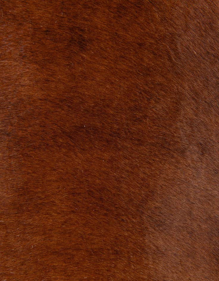 Detail image of  1' 8 x 2' 5 Cowhide Leather Rug