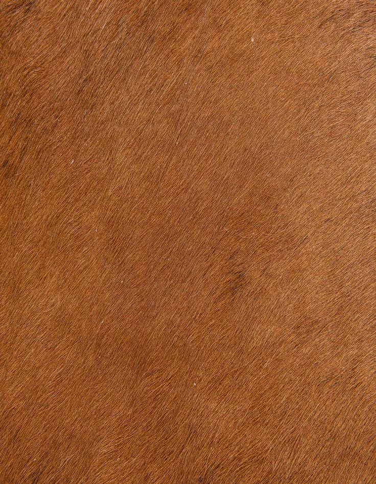 Detail image of  1' 7 x 2' 5 Cowhide Leather Rug