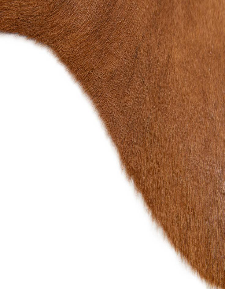 Detail image of  1' 7 x 2' 5 Cowhide Leather Rug